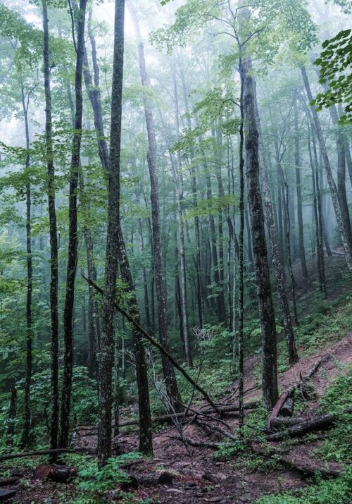 Smoky Mountains, Sevierville, TN